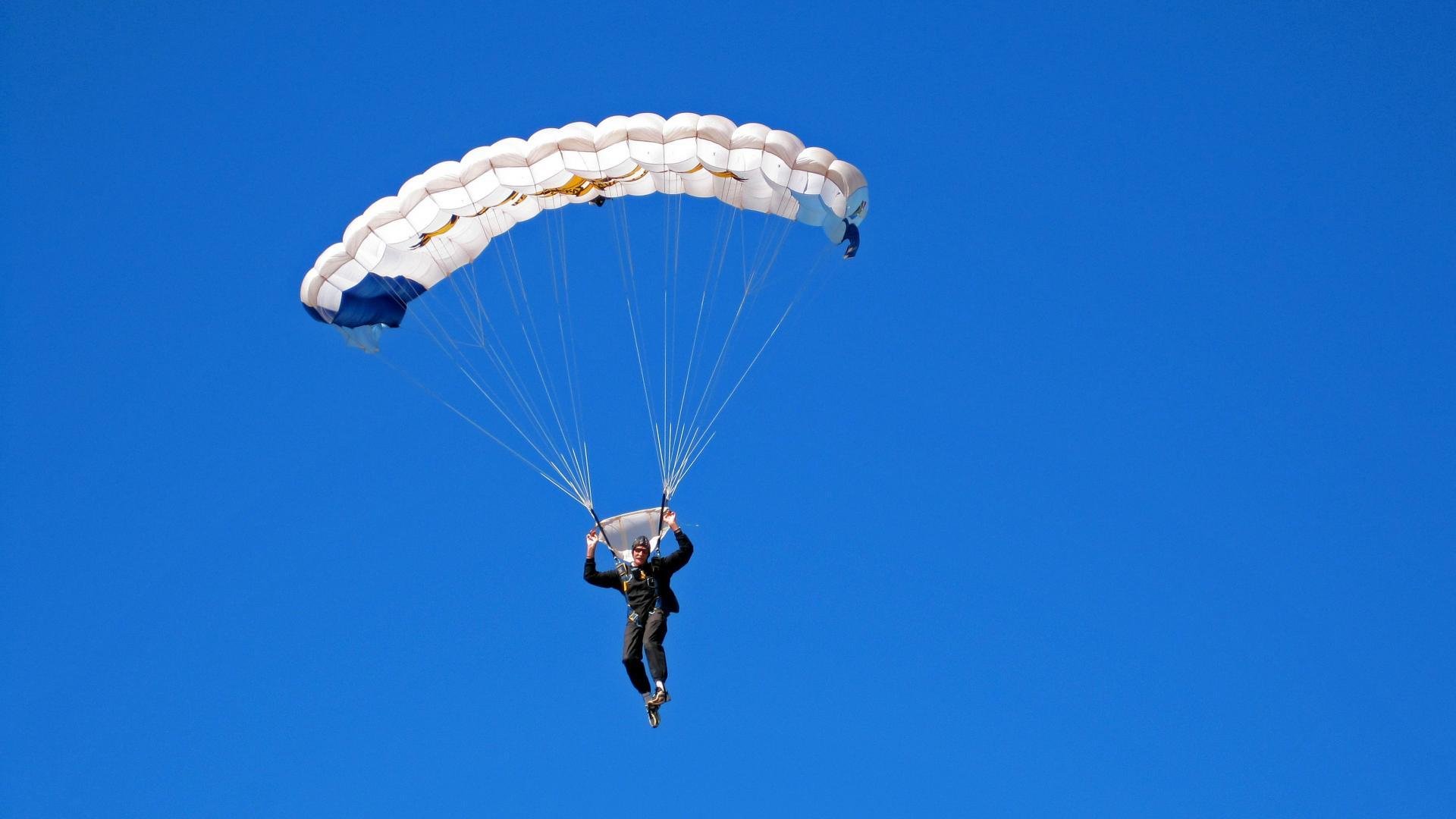 _豪华明星表演赛：娱乐与专业结合的新体验_，明星表演类节目