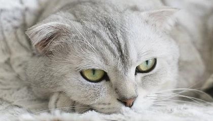 九游游戏中心-王楚钦带队参加国家集训封闭备战，王 楚钦